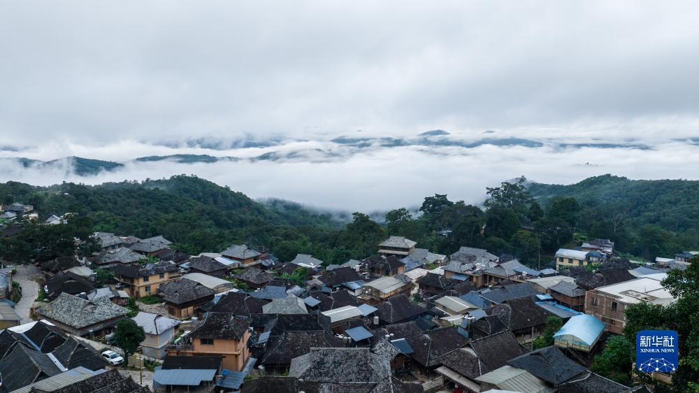 88泰来登陆界面